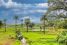 Gambia, Afrika