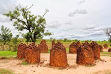 Gambia, Afrika