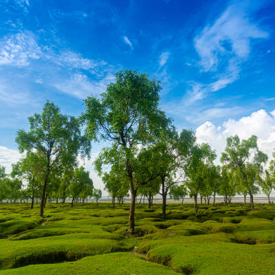 Chittagong, Bangladesch, Asien